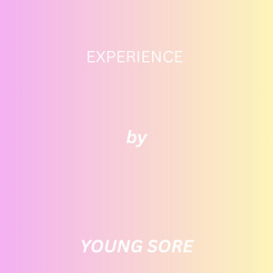 Experience by Young Sore