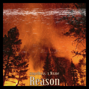 Reason