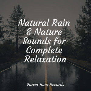 Natural Rain & Nature Sounds for Complete Relaxation album