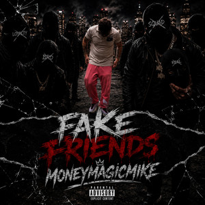Fake Friends by Moneymagicmike