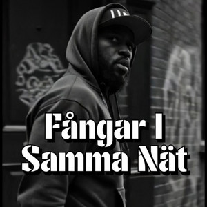 Fångar i samma nät (Fördomsprofil) by Amani Flow