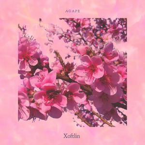Ctrl by AGAPE, Xoftlin