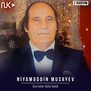 Niyaməddin Musayev - Durnalar Gölə Gəldi (2 Versiyon)