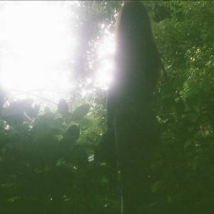 Sun Tree by Angel Grace