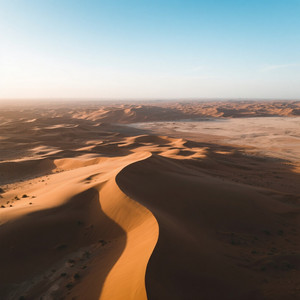 Louie Zamora - Desert Majesty