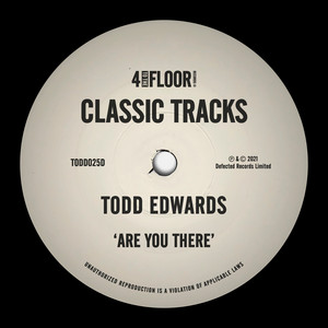 Are You There? by Todd Edwards cover art