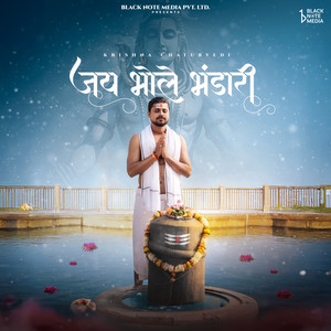 Jai Bhole Bhandari by Krishna Chaturvedi, Branal Rajeev, R Maharaaj
