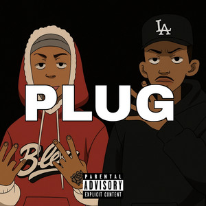 Plug