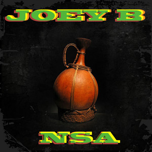 Portada de Nsa