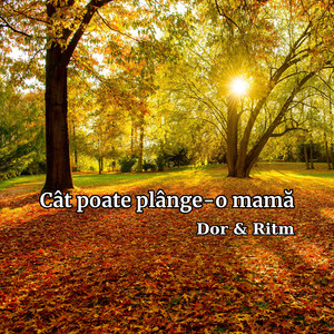 Cât poate plânge-o mamă by Dor & Ritm