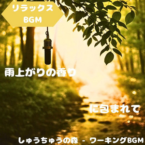 Focus Forest - Working BGM - "Relaxing BGM" Water Surface and Wind Sound Calm Intersection