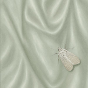 held by evening - solo piano by Chad Lawson