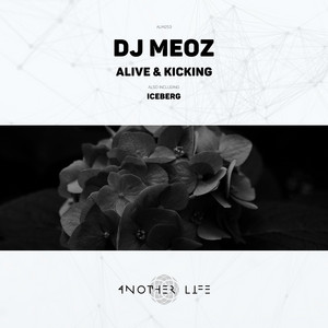 Iceberg - Radio Edit by Dj Meoz