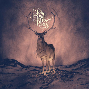 Silence Has a Son by Join Me in the Pines