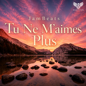 Tu Ne M’aimes Plus by JamBeats