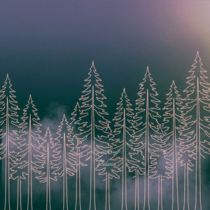 Cedar by Logan Jameison