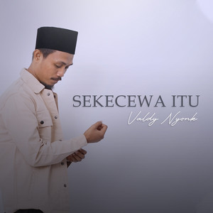 Valdy Nyonk - Sekecewa Itu