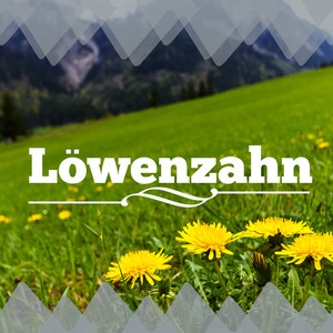 Liederblume - Löwenzahn