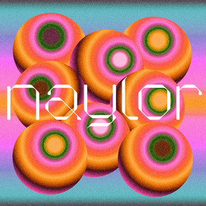 If Only by Naylor