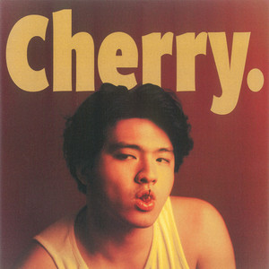 Narahara レコード　フュージョン Siena Steve