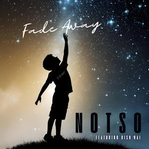 Fade Away by Notso, Rish Rai