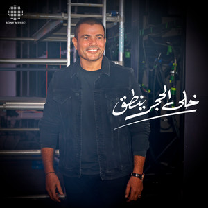 Amr Diab - Khala El Hagar Yenta'