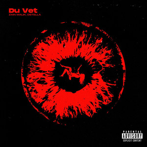 Du Vet by Zain Malik, Dstella