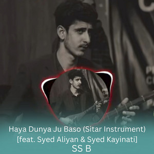 SS B - Haya Dunya Ju Baso (Sitar Instrument) [feat. Syed Aliyan & Syed Kayinati]