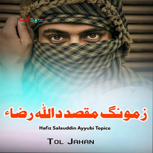 Hafiz Salauddin Ayyubi Topice - Inkilaba
