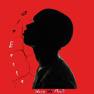 Die Beste by Woza We Mculi