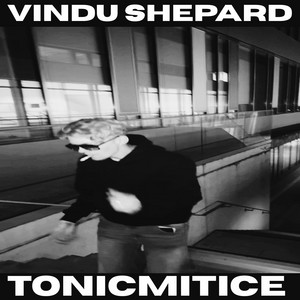 Tonic Mit Ice by Vindu Shepard