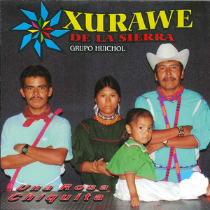Xurawe de La Sierra Grupo Huichol poster