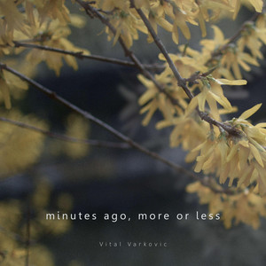 minutes ago, more or less by Vital Varkovic