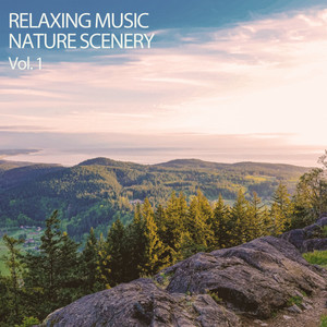 Work Music: Relaxing Nature Meditation Vol. 1 album