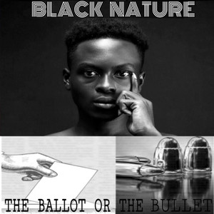 The Ballot or the Bullet by Black Nature