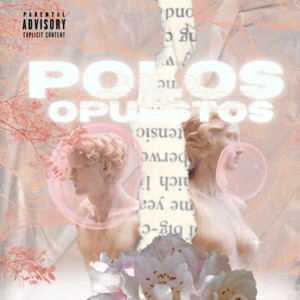 POLOS by Bking