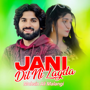 Mohsin Ali Malangi - Jani (Dil Ni Lagda)