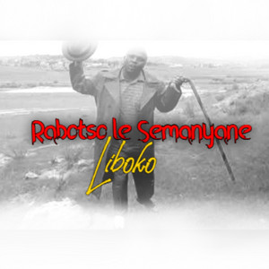Pitikoe by Rabots`o Le Semanyane