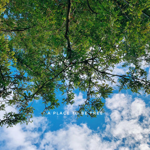 A Place to Be Free by Haruko
