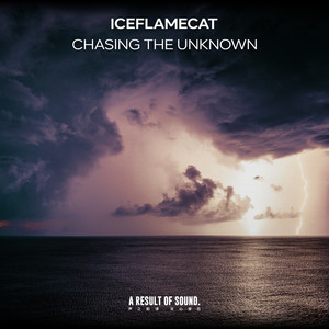 Chasing the Unknown - Radio Edit by IceflameCat