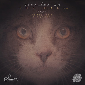 Imagination - Audiojack Remix by Nico Stojan, Audiojack