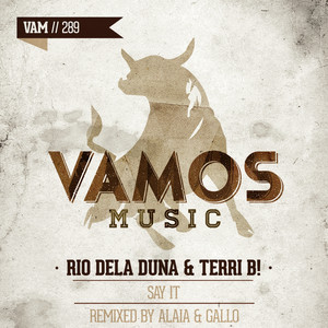 Say It - Alaia & Gallo Remix by Rio Dela Duna, Terri B!, Alaia, Gallo