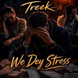 We Dey Stress by Treek