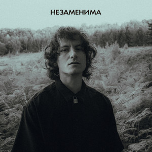 Незаменима by DOBS