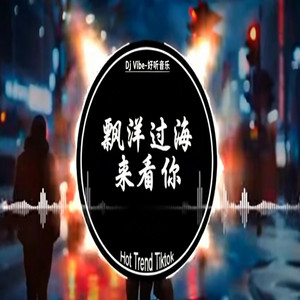 飘洋过海来看你 DJ版2026 by DJ Vibe-好听音乐