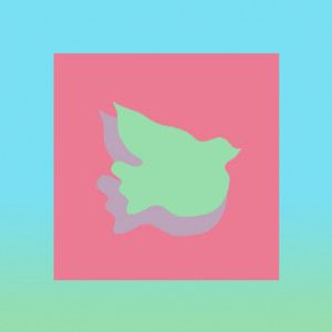Dovetracks cover