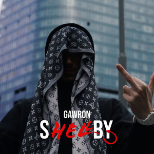 Shellby by Gawron