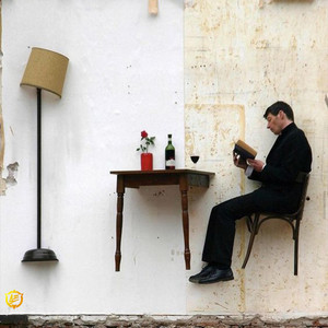 Torn Between Shadows