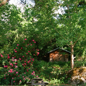 her garden