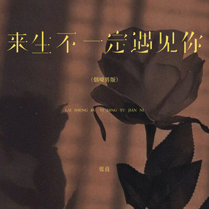 来生不一定遇见你 - 烟嗓男版 by 张良